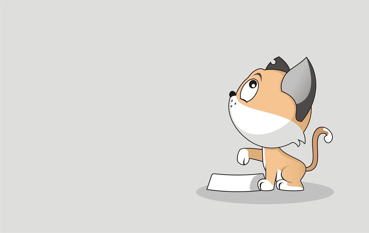 Top 5 Foods You Should Never Feed Your Cat