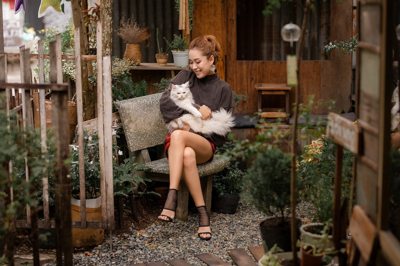10 Tips to Stop Your Cat from Scratching Furniture