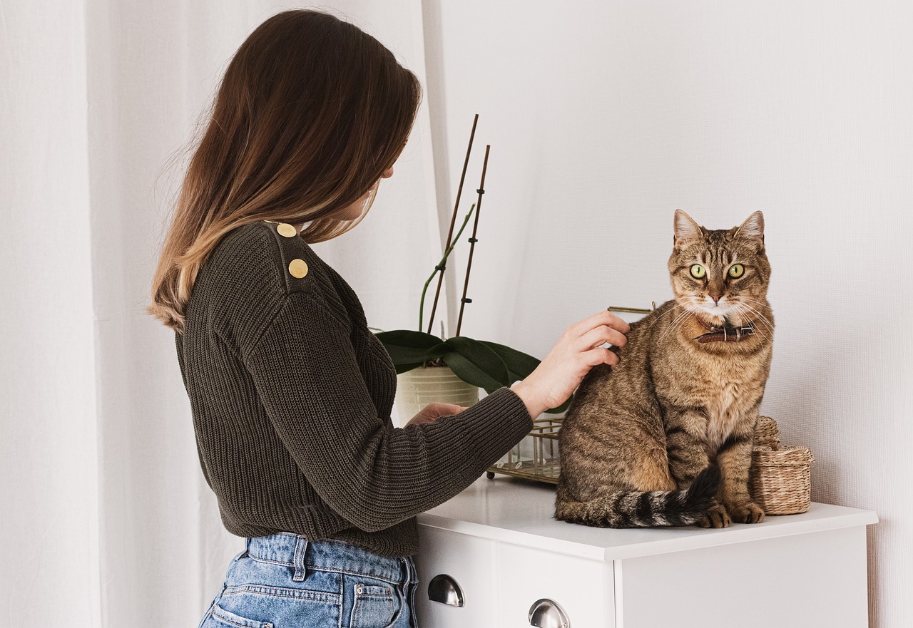 10 Common Cat Health Issues and How to Prevent Them
